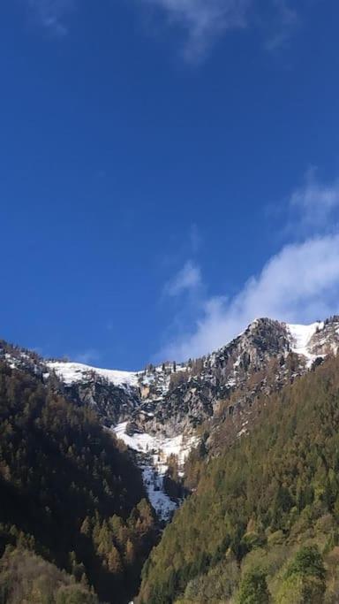 Il Sole Di Ester Branzi Exteriér fotografie